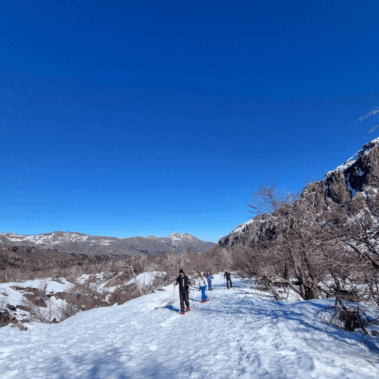 familia caminando con raquetas en la nieve