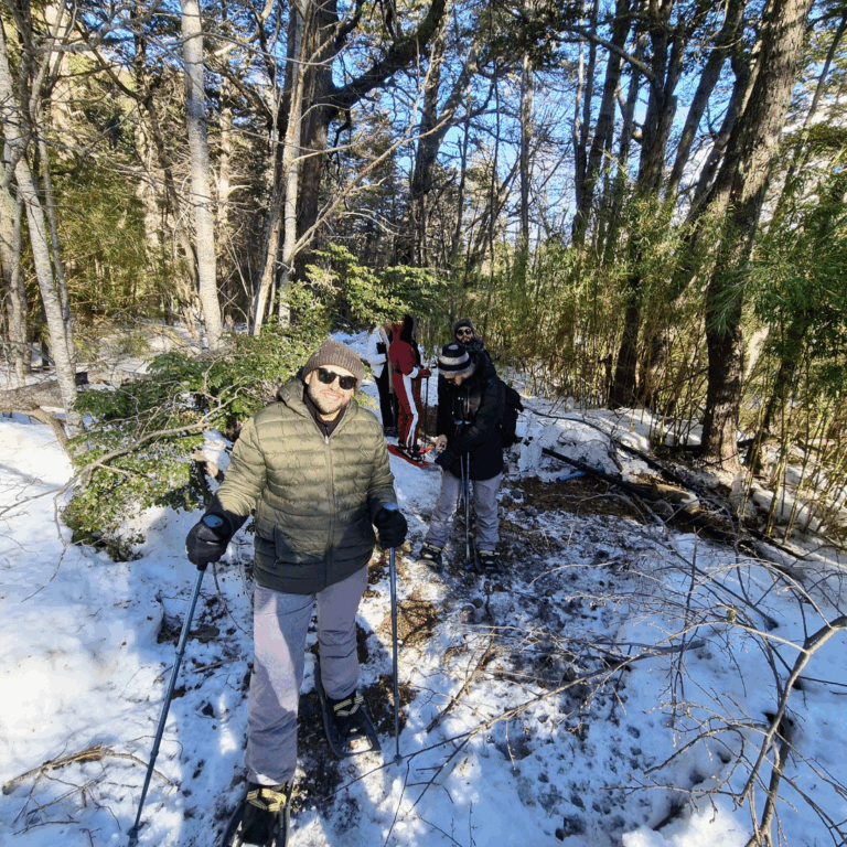 grupo de andinistas caminando por bosque nevado