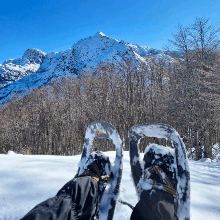 raquetas para caminar en la nieve